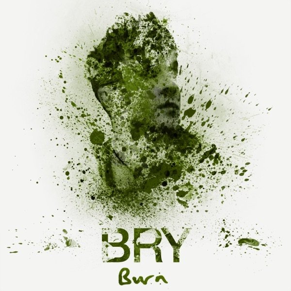 Album BriBry - Burn