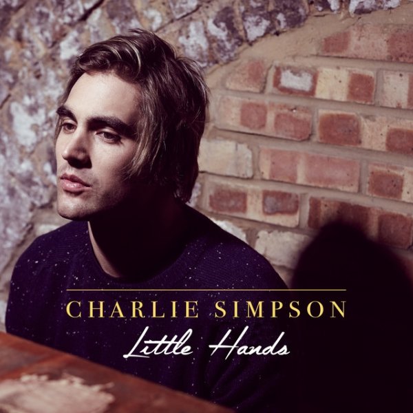 Charlie Simpson Little Hands, 2016