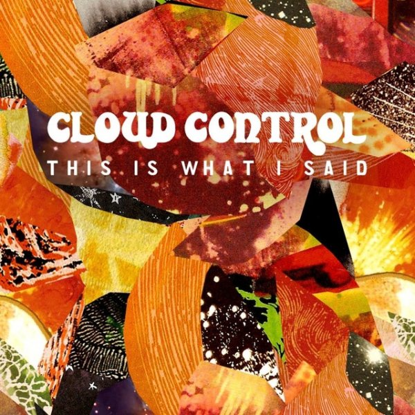 Cloud Control This Is What I Said, 2011