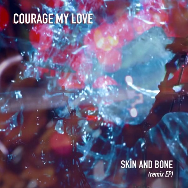 Album Courage My Love - Skin and Bone