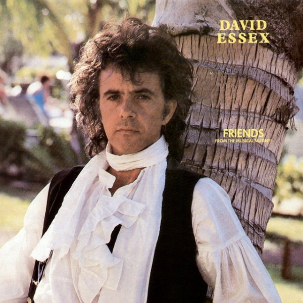Album David Essex - Friends