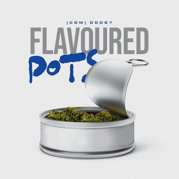 Album Dodgy - Flavoured Pots