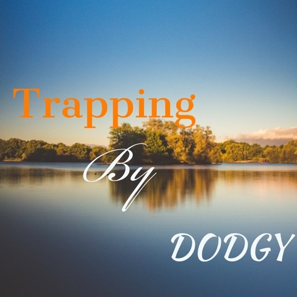 Album Dodgy - Trapping
