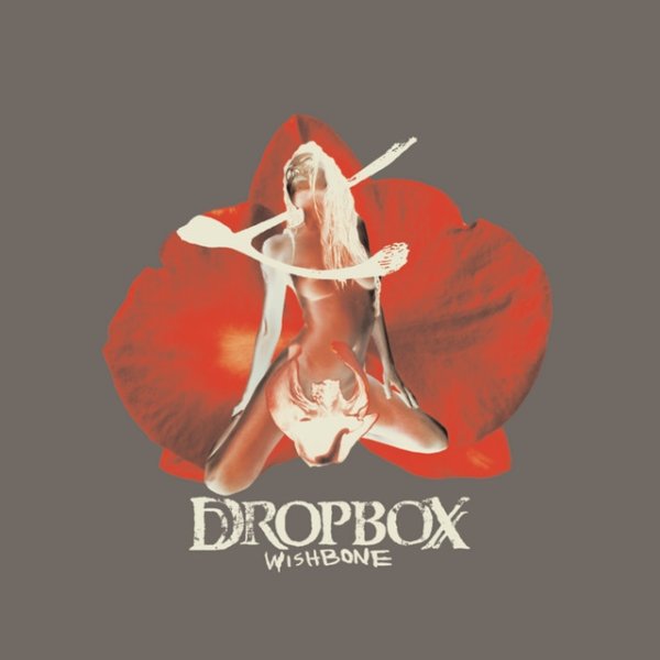 Dropbox Wishbone, 2003