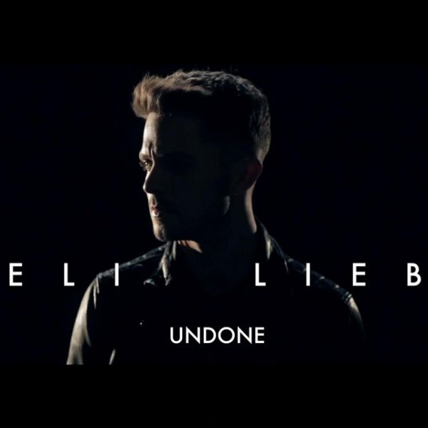 Album Eli Lieb - Undone