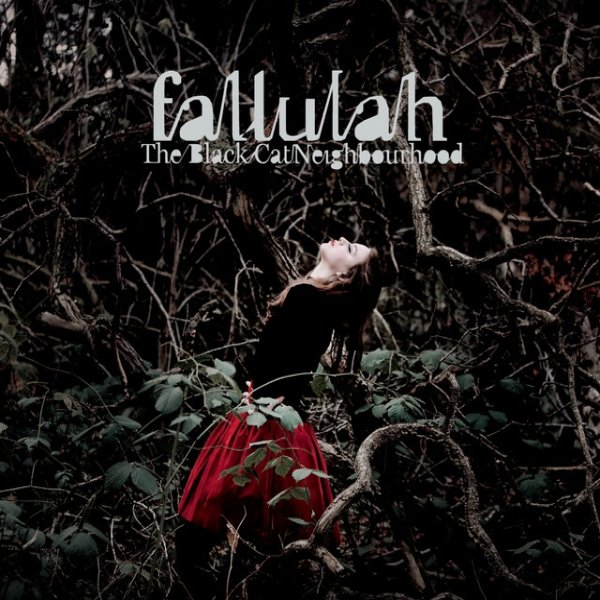 Album Fallulah - The Black Cat Neighbourhood