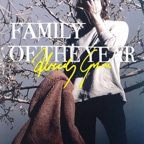 Album Family of the Year - Already Gone