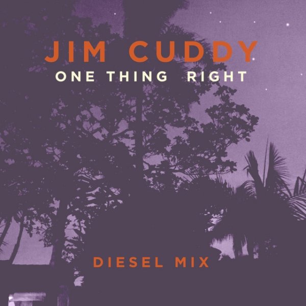 Album Jim Cuddy - One Thing Right