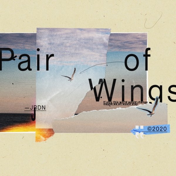 JRDN Pair Of Wings, 2020