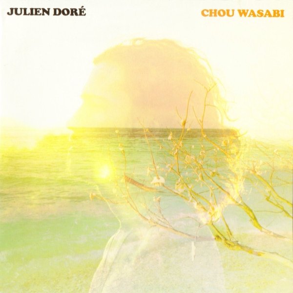 Julien Doré Chou Wasabi, 2014
