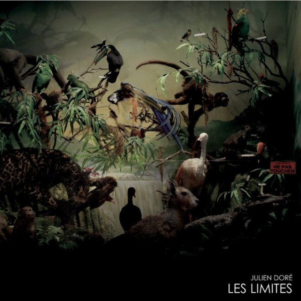 Album Julien Doré - Les limites