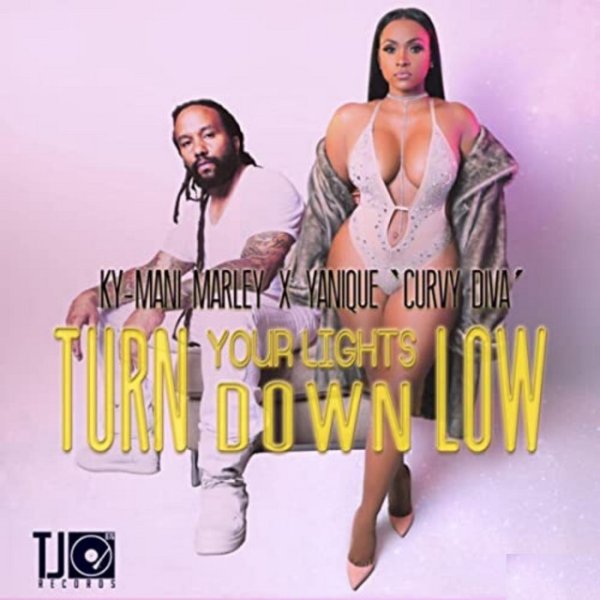 Album Ky-Mani Marley - Turn Your Lights Down Low