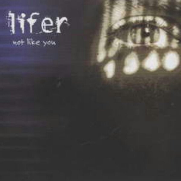Album Lifer - Not Like You