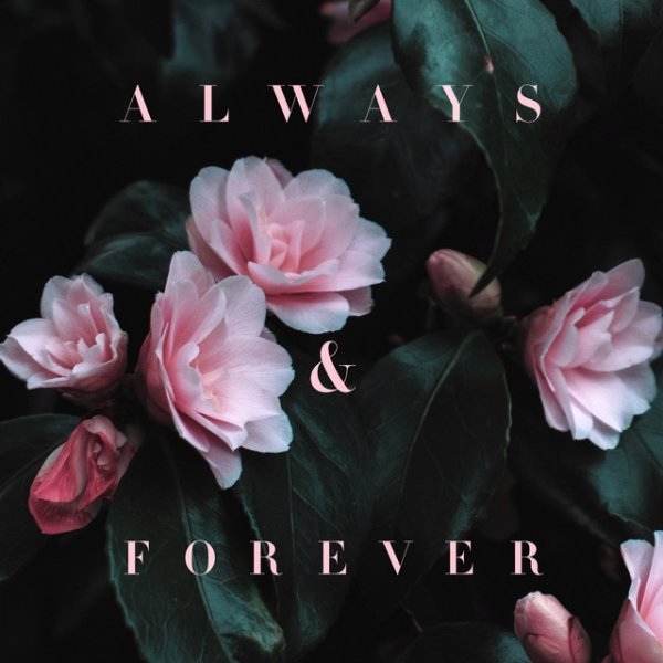 Album Lily Kershaw - Always & Forever