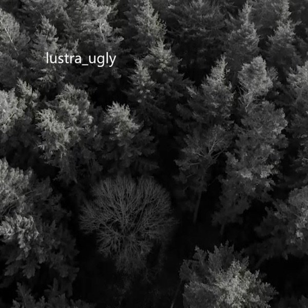 Album Lustra - Ugly