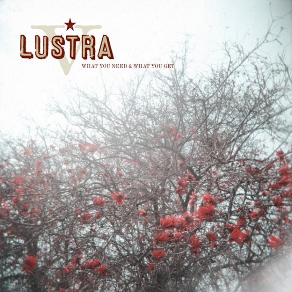 Album Lustra - What You Need & What You Get