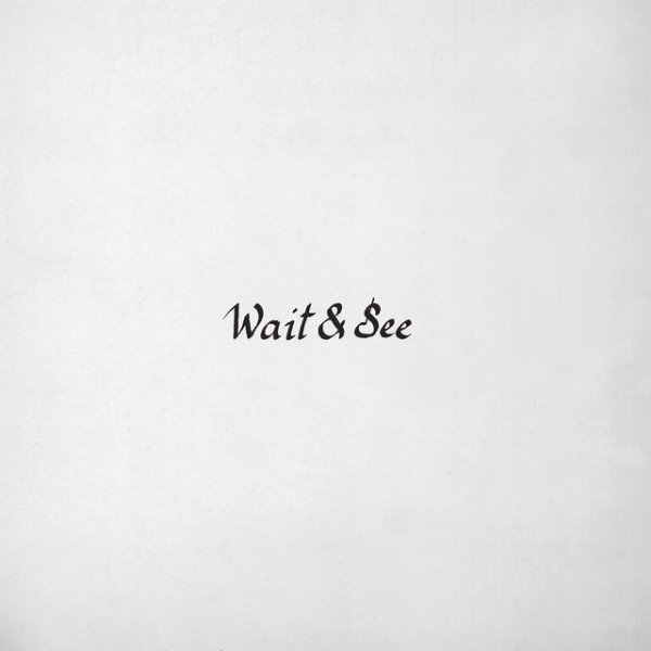 Wait & See - album