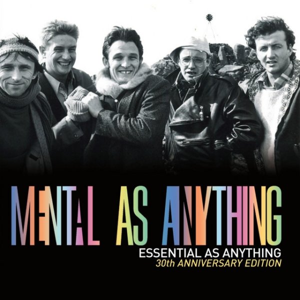 Mental As Anything Essential As Anything, 2015