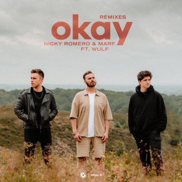 Okay (Remixes) - album