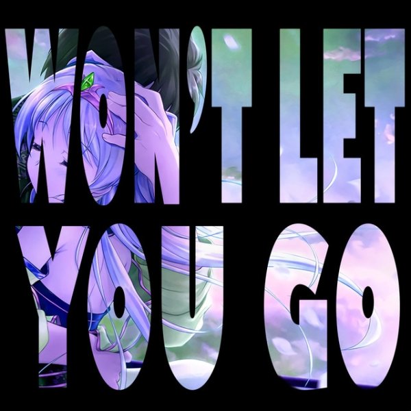 Won't Let You Go - album