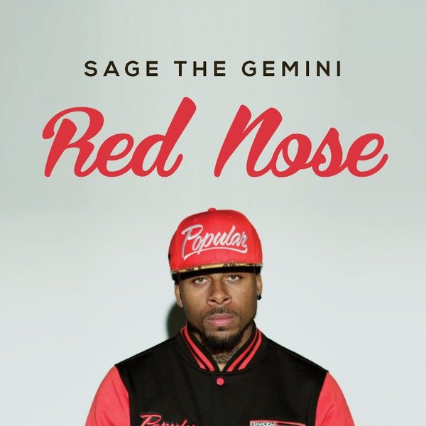 Sage the Gemini Red Nose, 2013