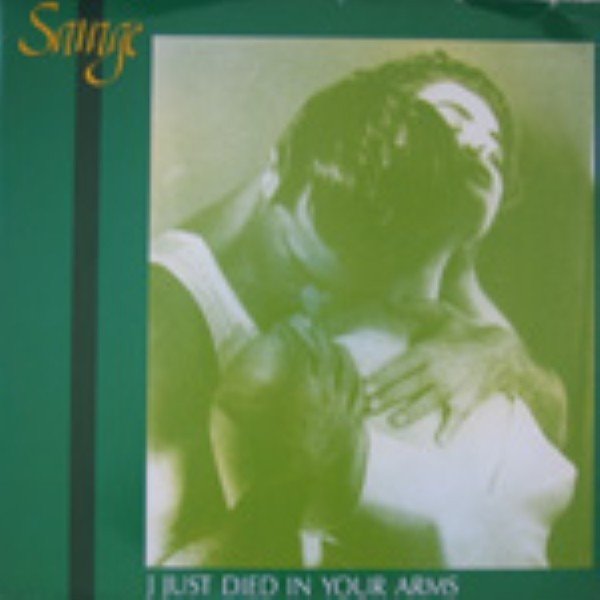 Savage I Just Died In Your Arms, 1989