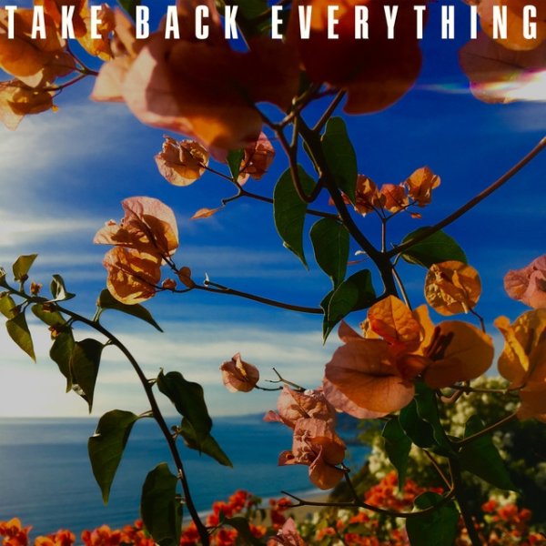 Take Back Everything Album 