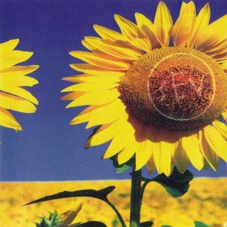 Album Sev - Sunflower