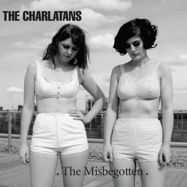 The Charlatans The Misbegotten, 2008