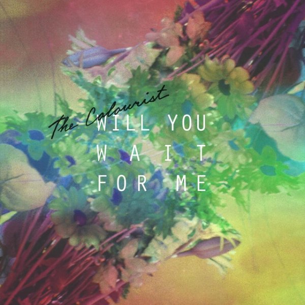 Album The Colourist - Will You Wait for Me