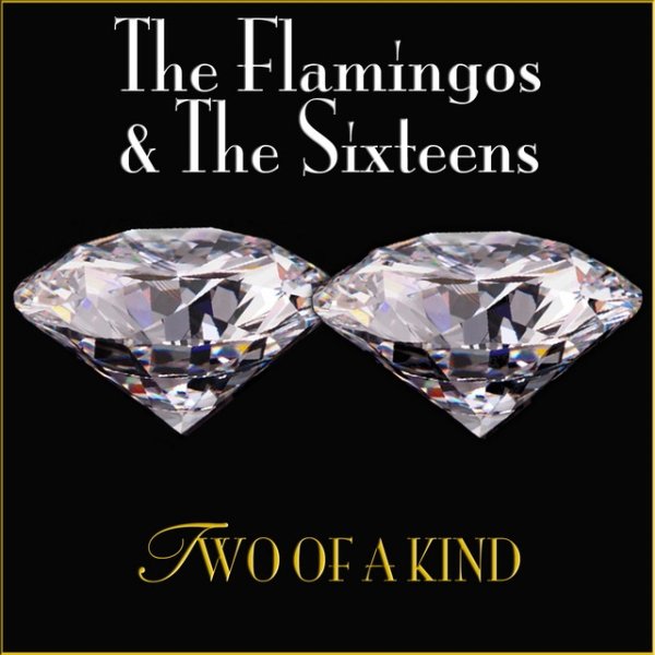 2 of a Kind - album