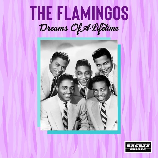 Album The Flamingos - Dreams Of A Lifetime