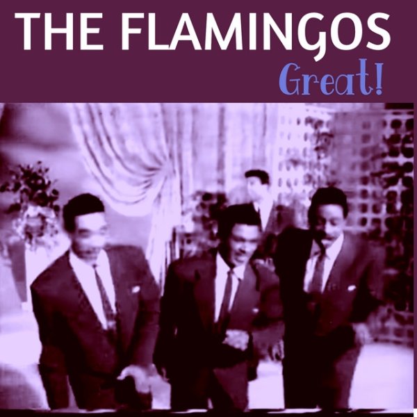 Album The Flamingos - Great!