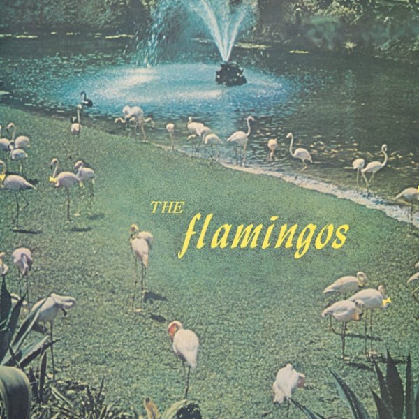 Album The Flamingos - The Flamingos