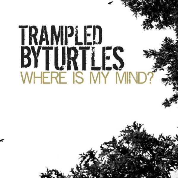 Album Trampled by Turtles - Where Is My Mind?