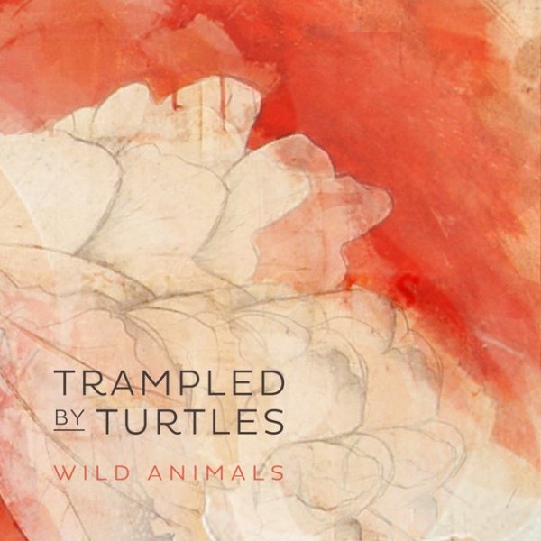 Album Trampled by Turtles - Wild Animals