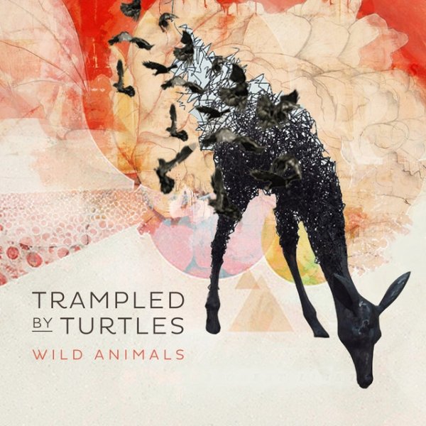 Trampled by Turtles Wild Animals, 2014