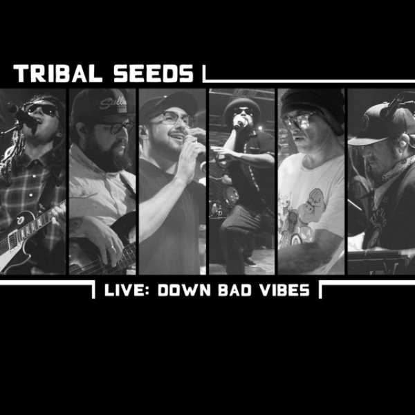 Album Tribal Seeds - Down Bad Vibes