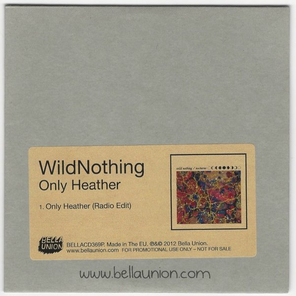 Wild Nothing Only Heather, 2012