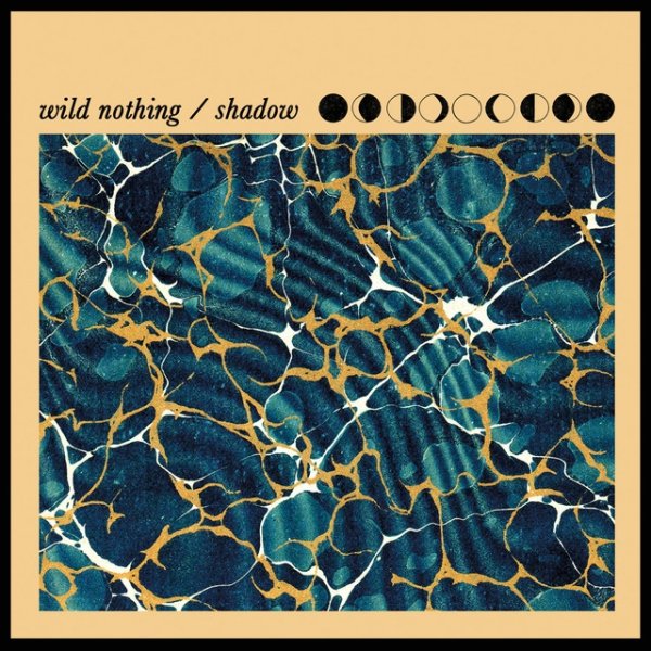 Wild Nothing Shadow, 2012