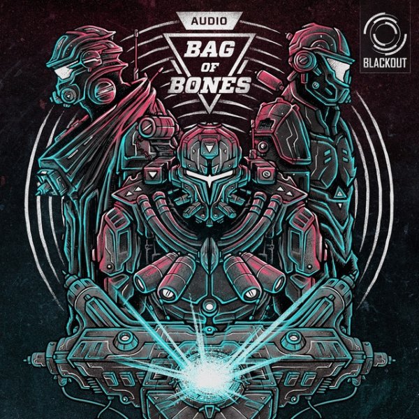 Audio Bag of Bones, 2013