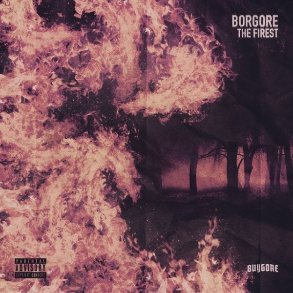 Album Borgore - The Firest
