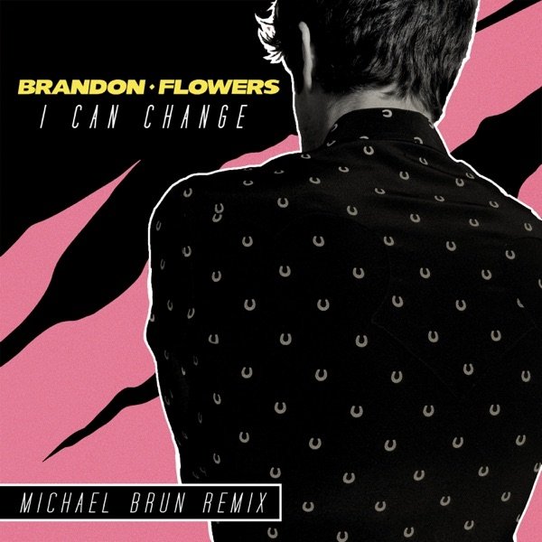 Brandon Flowers I Can Change, 2015