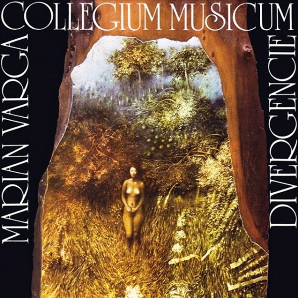 Album Collegium Musicum - Divergencie