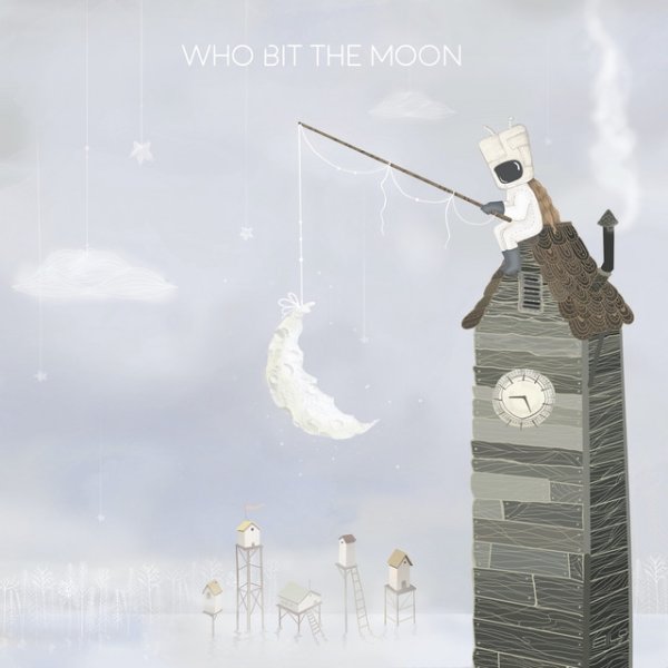 Album David Maxim Micic - Who Bit The Moon