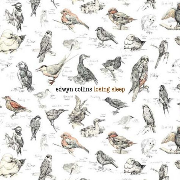 Album Edwyn Collins - Losing Sleep