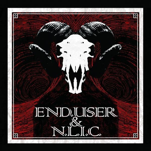 Album Enduser - The 9th Day