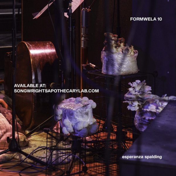 Album Esperanza Spalding - Formwela 10