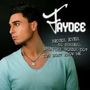 Album Faydee - Never Ever