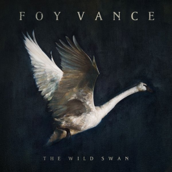 Foy Vance The Wild Swan, 2016